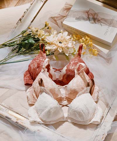 【SALE】【3点セット】【純欲】Tバックショーツ付ピュアレーシーブラジャー＆ショーツセット 【northerly】