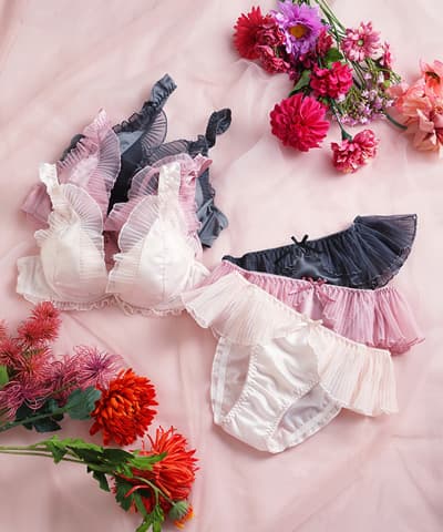 【WEB限定】メルティプリーツブラセット 【northerly】