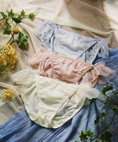 【northerly bra フィットシリーズ 楽盛りフィット】　楽盛りチュールベール　ノーマルショーツ単品　M/L【northerly】