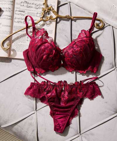 【SALE】【エレガントコレクションPremium2309】単品ブラHIカップ  【northerly】