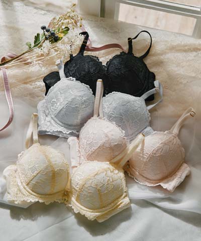 【northerly bra フィットシリーズ 楽盛りフィット】　ストレッチレース　ブラジャー単品　B～Fカップ　【northerly】