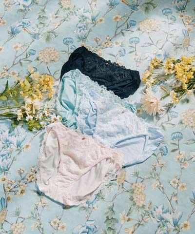 【northerly bra フィットシリーズ 楽盛りフィット】　ストレッチレース　ノーマルショーツ2WAY単品　M/L　【northerly】