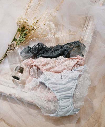 【SALE】エレガントコレクション【2502】デザインバックレースショーツ  【northerly】