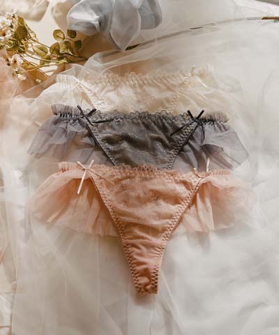 【northerly bra フィットシリーズ 楽盛りフィット】　楽盛りチュールベール　Tバックショーツ単品　M/L　【northerly】
